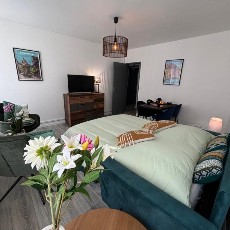 L Alsacienne F2 centre ville - Apartment mit 1 Schlafzimmer - 38