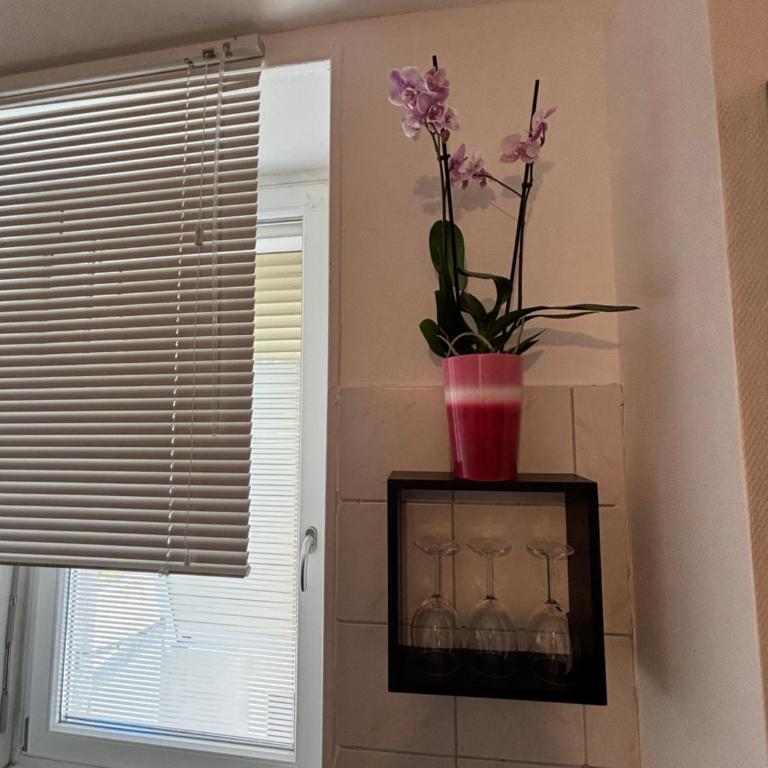 L Alsacienne F2 centre ville - Apartment mit 1 Schlafzimmer - 50