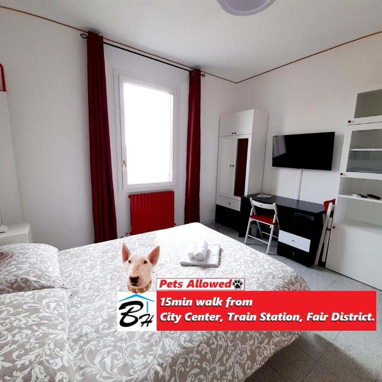 Bologna Homestay B&B - Camera Singola - 1