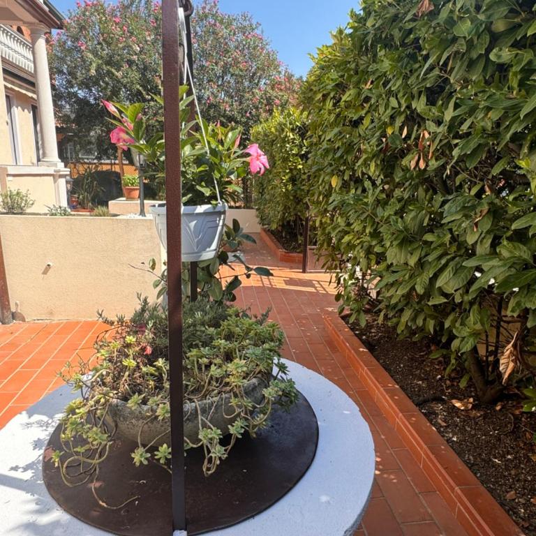 Zeta Apartments - Appartamento Standard - 3