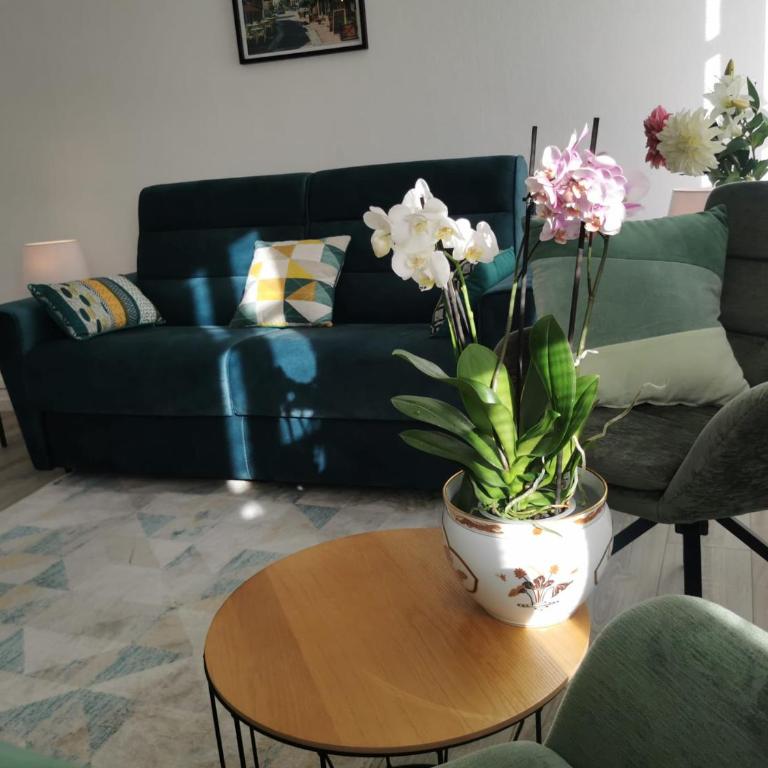 L Alsacienne F2 centre ville - Apartment mit 1 Schlafzimmer - 55
