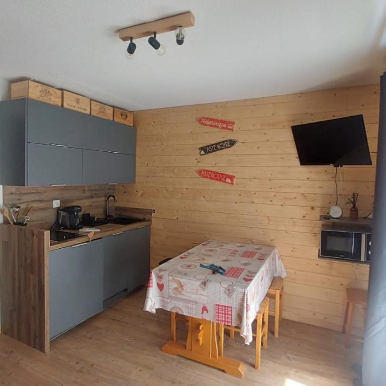 Studio cosy au pied des remontées,wifi,smart TV,parking - Appartement 1 Chambre - 1