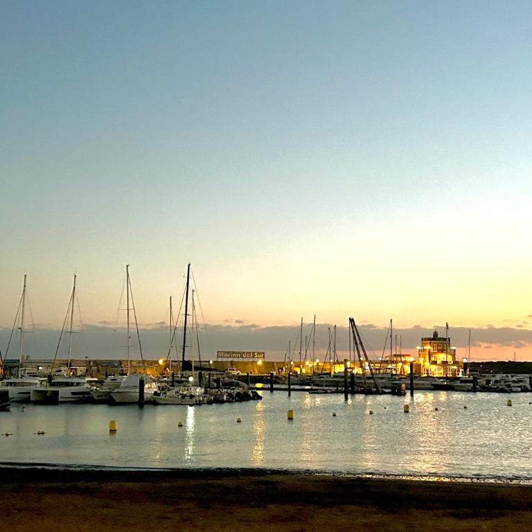 Sunny Silencio Retreat Atlantico - Air Conditioning & Free Parking - Apartamento de 2 dormitorios - 11