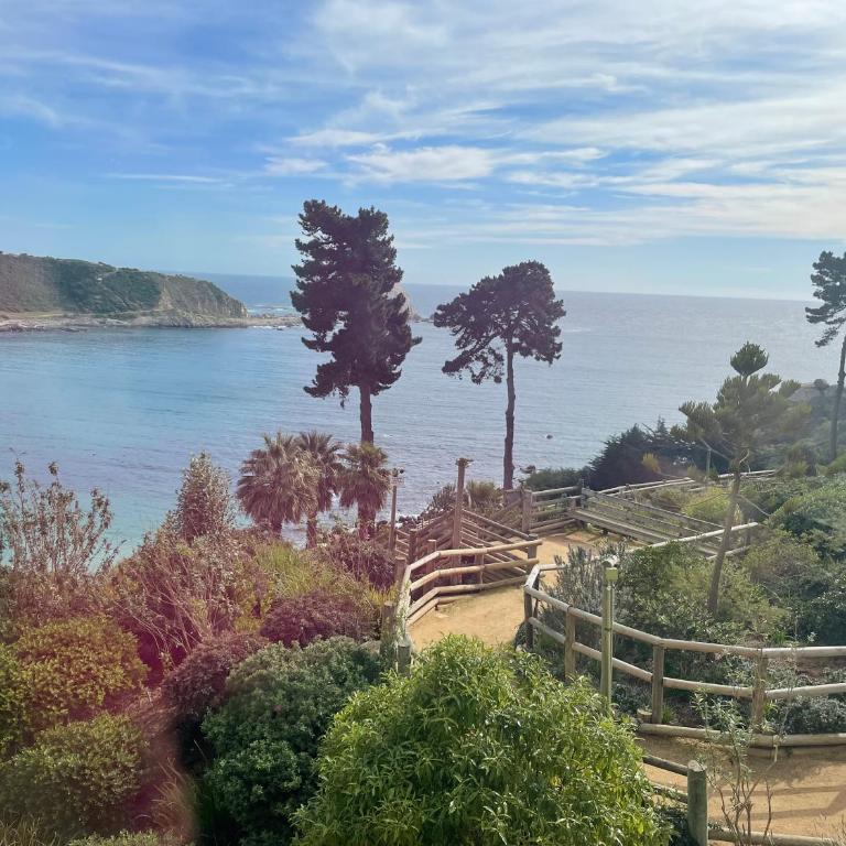 Arriendo vacacional departamento Algarrobo - Apartamento de 3 dormitorios - 23