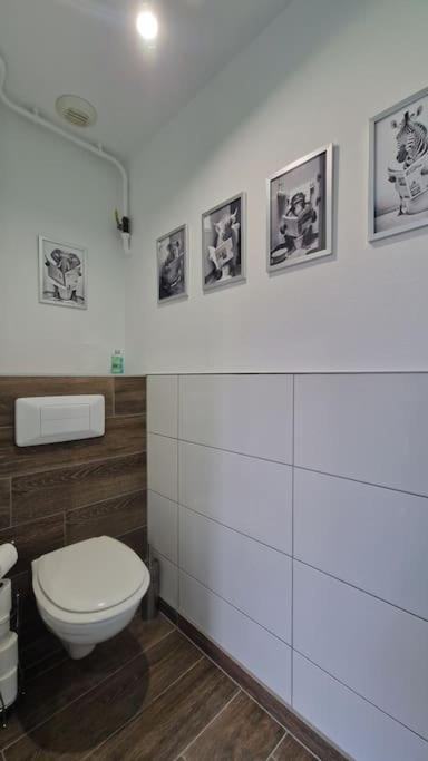 Modern Jungle - Colmar - Appartamento con 1 Camera da Letto - 16