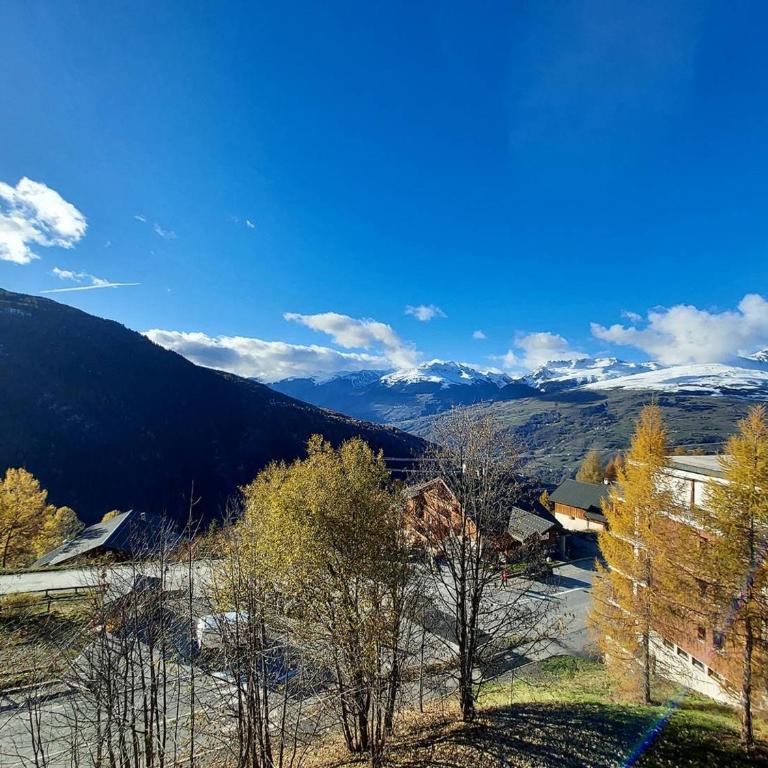 Charmant T3, accès pistes, balcon et TV, Plan Peisey - FR-1-757-122 - Appartamento - 11