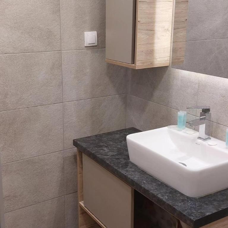 Apartman Viva Milmari - Apartman sa 1 Spavaćom Sobom - 15