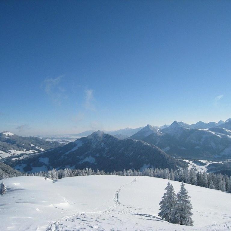 Ferienhaus Nr 38, Kategorie Komfort, Feriendorf Hochbergle, Allgäu - Ferienhaus - 20