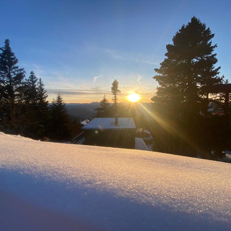 Les Balcons d'Edelweiss - Studio - Vue sur Montagne - 15