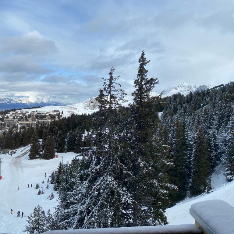 Les Balcons d'Edelweiss - Studio - Vue sur Montagne - 13