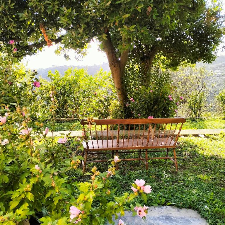 Ca Du Stea - Appartamento - 10