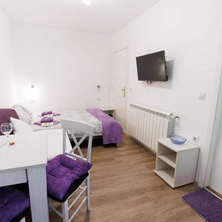 Vila Jevtić studio 1 - One-Bedroom Apartment - 9