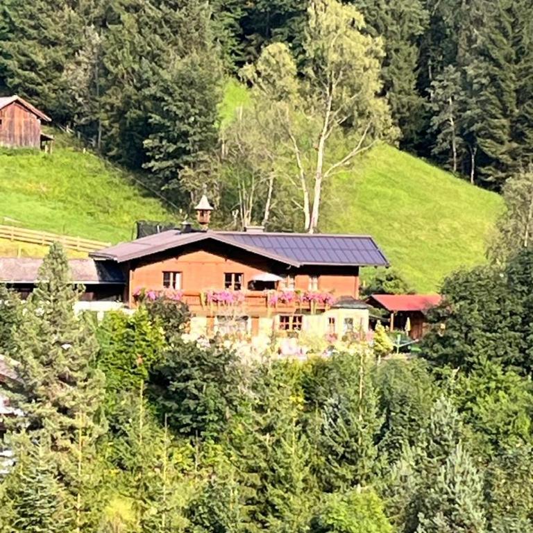 Haus Steinacher - Apartment mit 2 Schlafzimmern - 3
