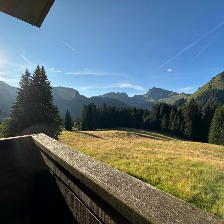 Studio au cœur du Praz-de-Lys - Les Pralyssimes - Appartement avec Vue sur la Montagne - 10