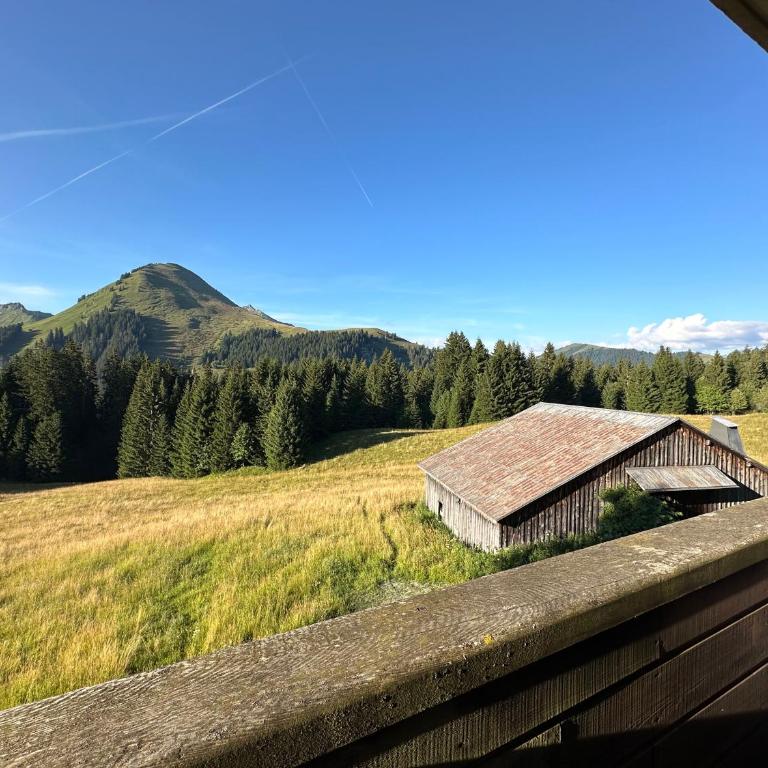 Studio au cœur du Praz-de-Lys - Les Pralyssimes - Appartement avec Vue sur la Montagne - 12