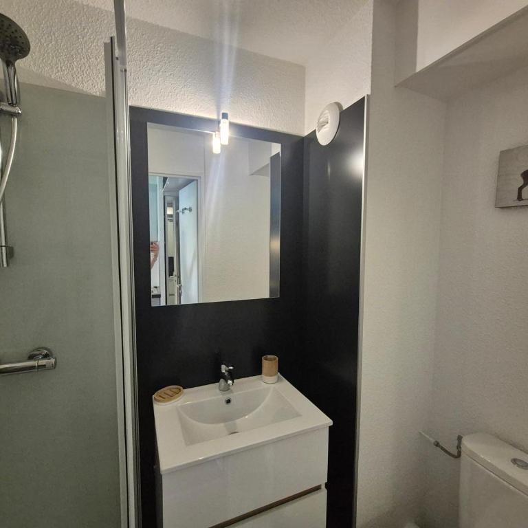 Studio Confort 3 Pers, Balcon, Animaux Acceptés - FR-1-502-450 - Studio - 5