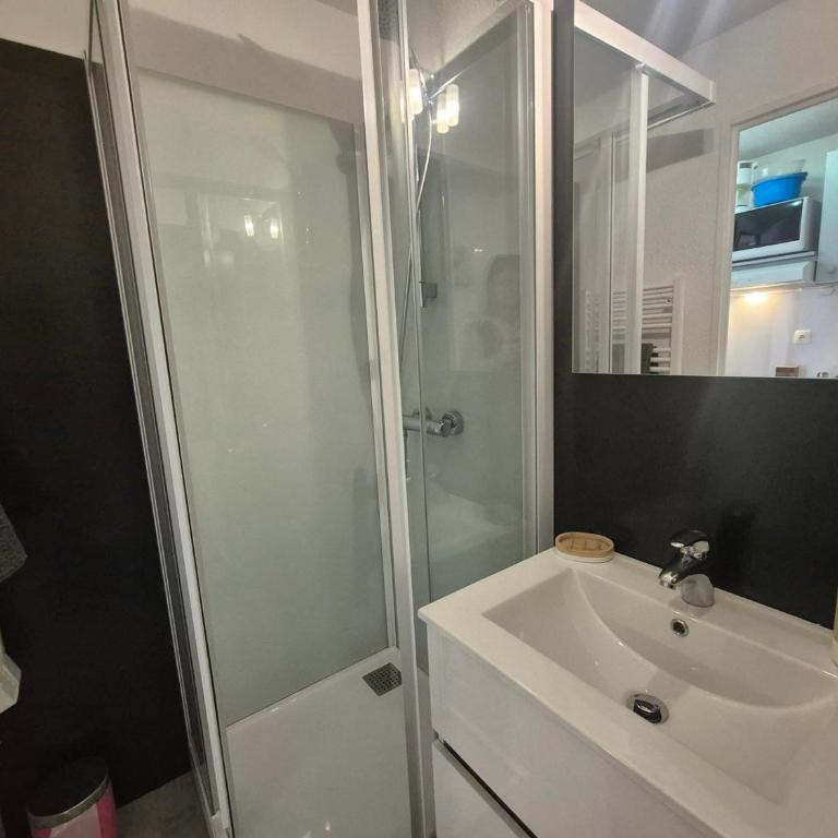 Studio Confort 3 Pers, Balcon, Animaux Acceptés - FR-1-502-450 - Studio - 7