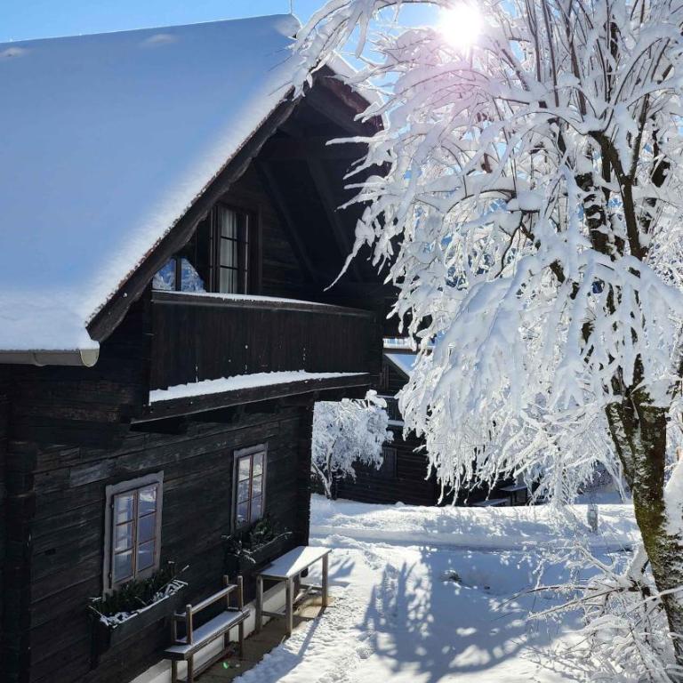 Apartments in Oberaichwald - Kärnten 41151 - Apartment - 13