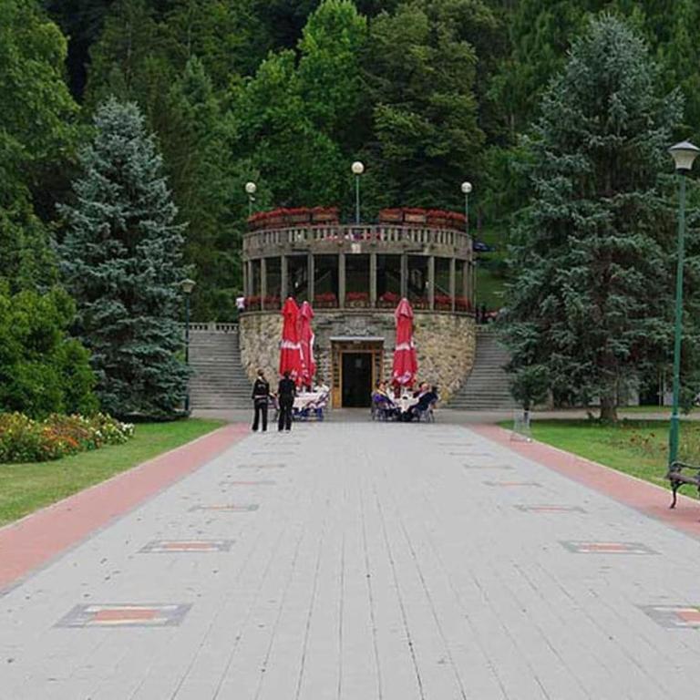 Апартман Ђокић - Apartman sa 1 Spavaćom Sobom - 8