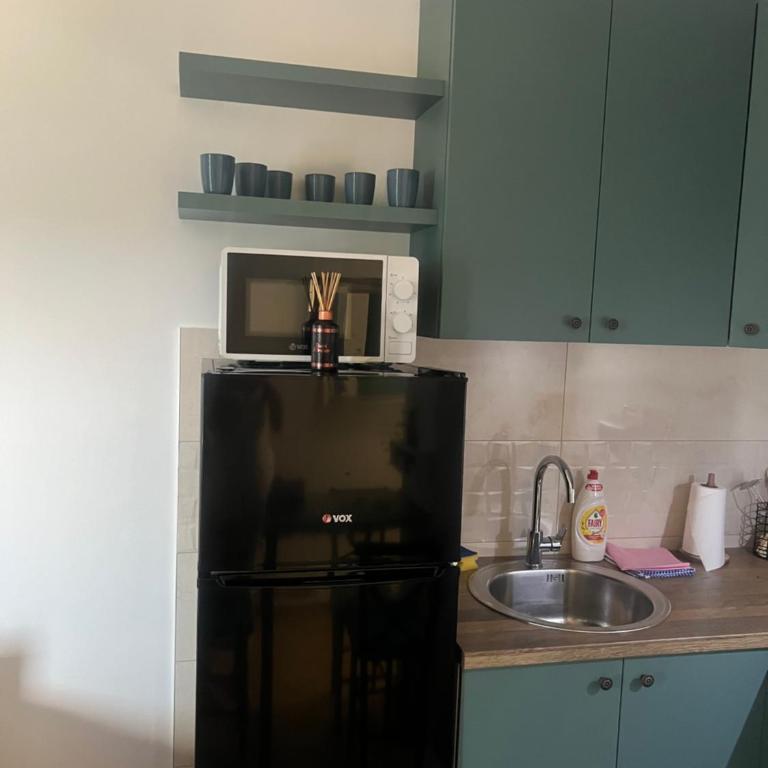 Апартман Ђокић - Apartman sa 1 Spavaćom Sobom - 10
