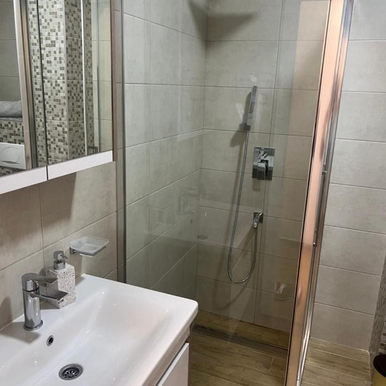 Апартман Ђокић - Apartman sa 1 Spavaćom Sobom - 16