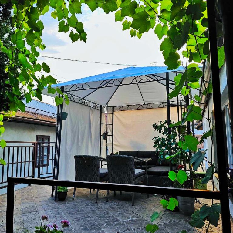 Studio Apartments Siesta - Standard Studio - 1