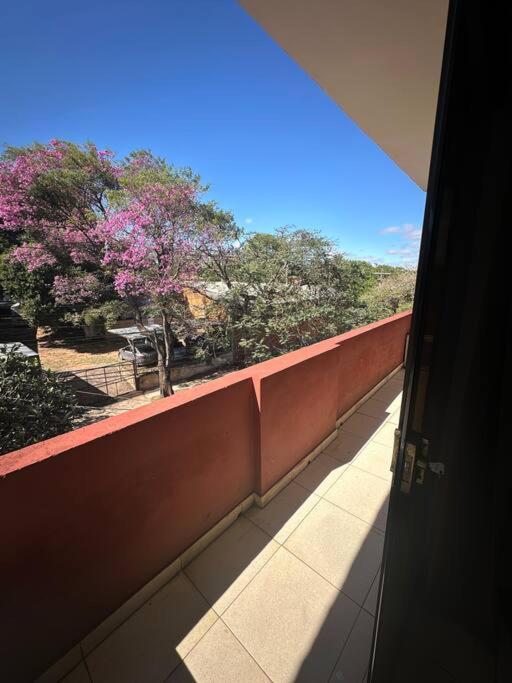 Departamento Amoblado en Barrio Los Laureles - Apartamento de 2 dormitorios - 16