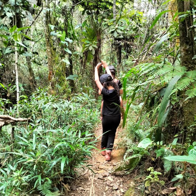 Casa De Campo "Las Chispas" - Two-Bedroom House - 12