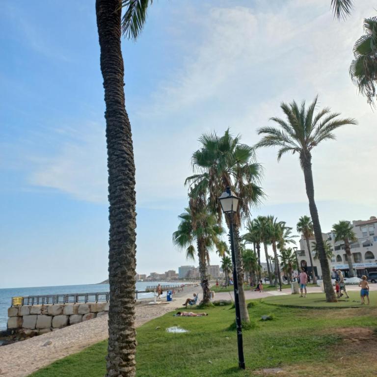 Marina dort Acapulco II primera línea de playa - Apartamento de 2 dormitorios - 6
