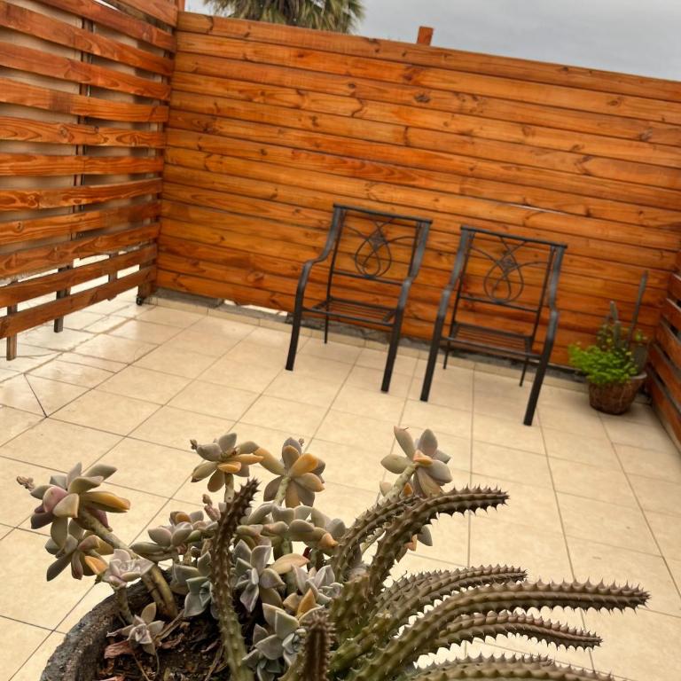 Los Cactus Planta Alta - Apartamento de 1 dormitorio - 9