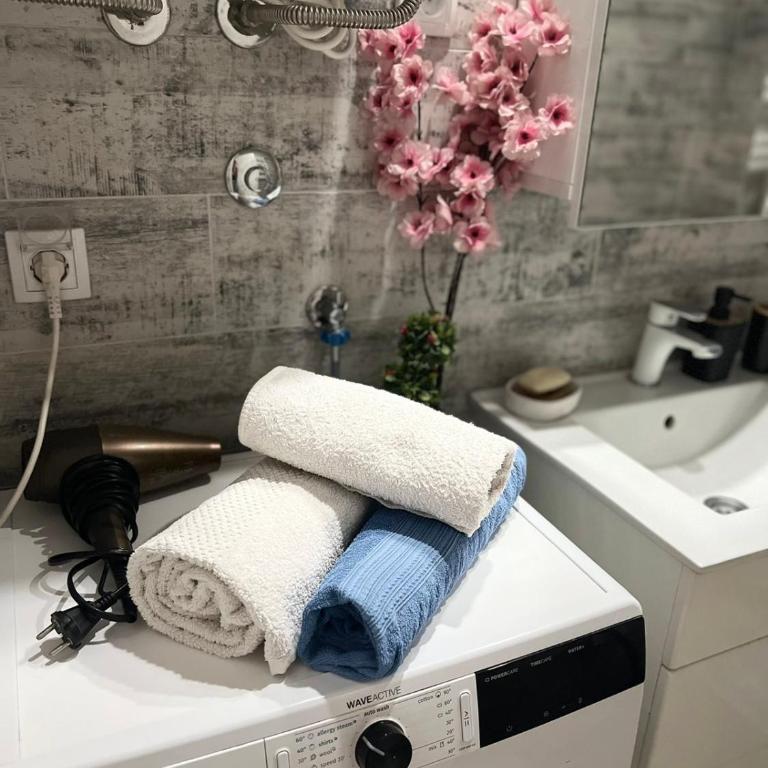 LUX Apartment A&M Netflix - Apartman sa 1 Spavaćom Sobom - 27