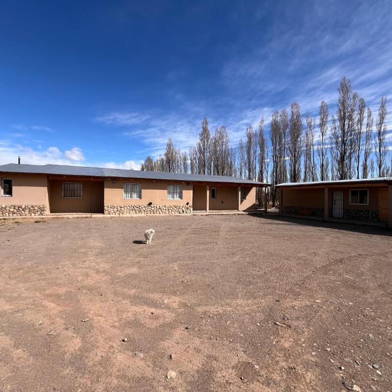 Finca Los Arrieros - Malargüe - Two-Bedroom Apartment with Mountain View - 7