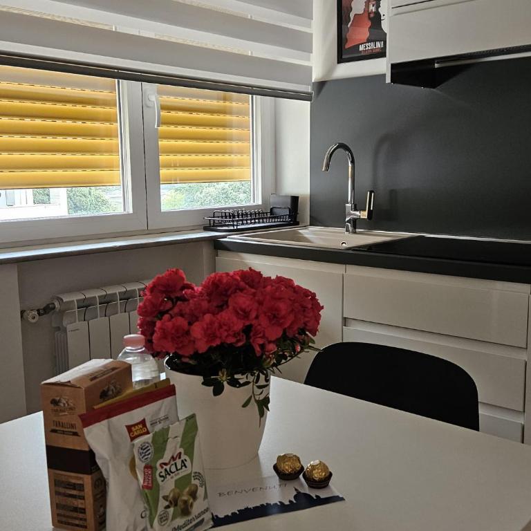 Eur appartamento vista lago Fattori - Appartamento - 19