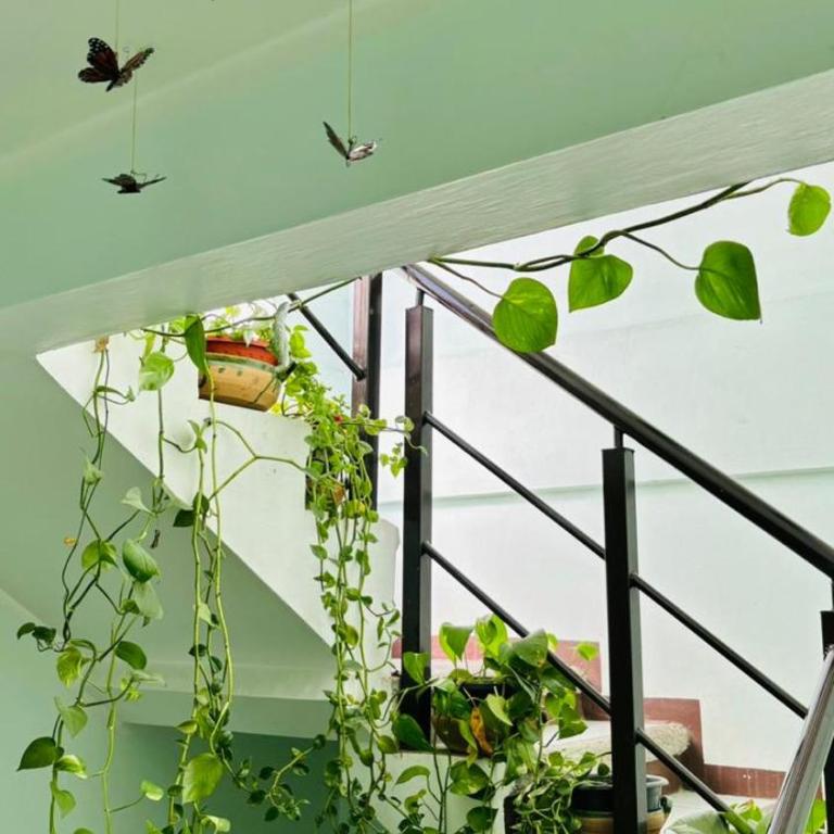 Casa los Arcos Oaxaca - Habitación Doble con baño privado - 14