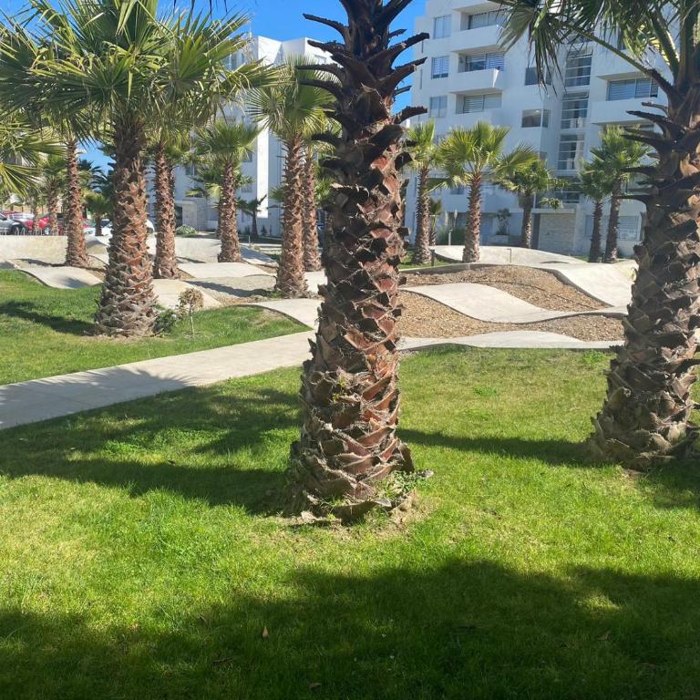 Departamento en la Serena - Two-Bedroom Apartment with Balcony and Terrace - 38