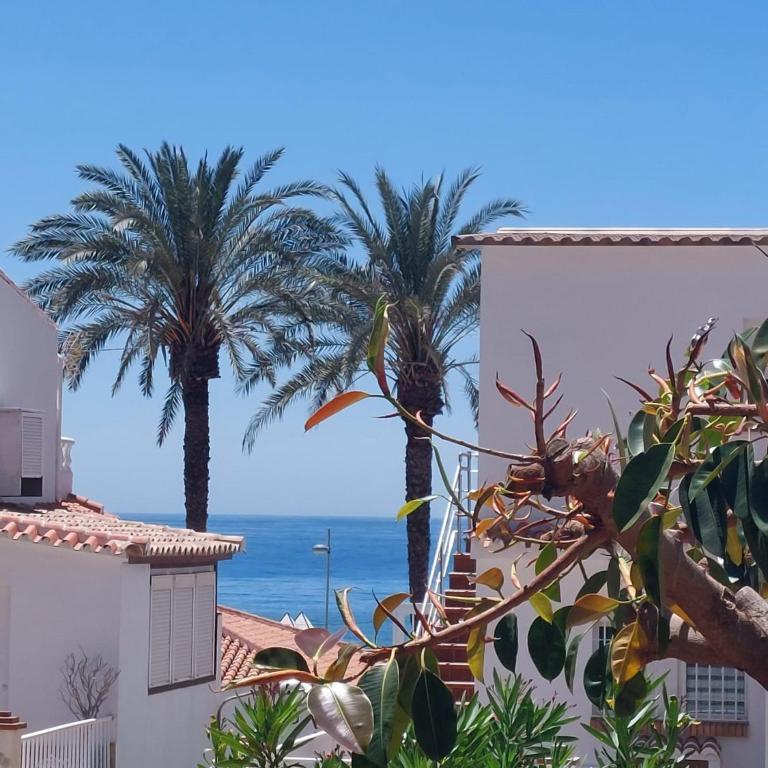 Apartamento 86A TORROX COSTA - Apartamento de 1 dormitorio - 1