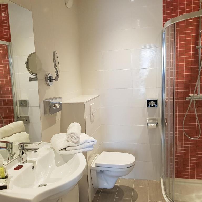 Brit Hotel de Grignan Vichy - Chambre Double Premium - 8