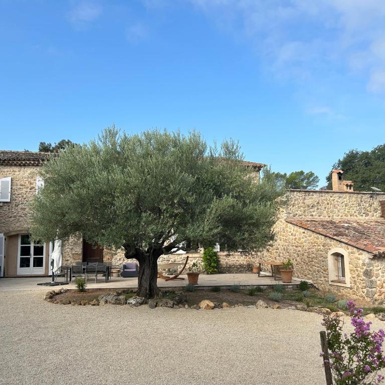 Château deMappe Villa #9 à Lorgues - Villa - 11