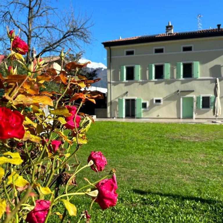 La Casa nella Vigna - Appartamento con 3 Camere da Letto - 1