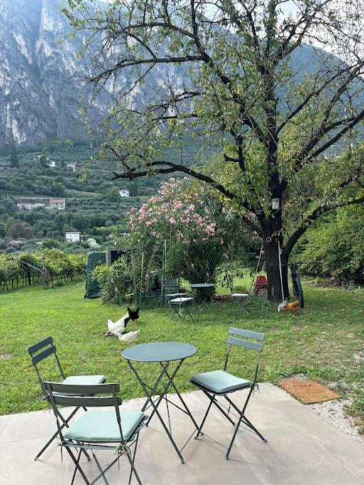 La Casa nella Vigna - Appartamento con 3 Camere da Letto - 9