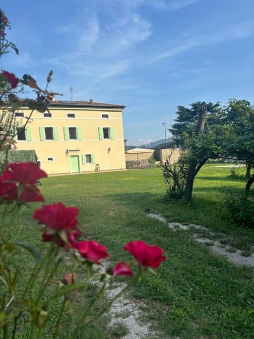 La Casa nella Vigna - Appartamento con 3 Camere da Letto - 2