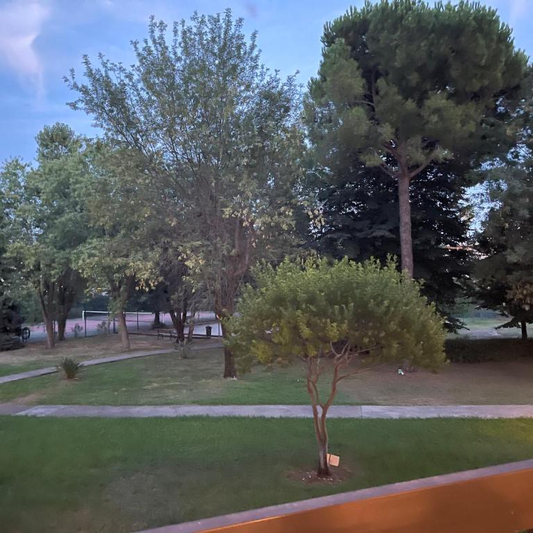 Parc Baie des Anges - One-Bedroom Apartment - 40