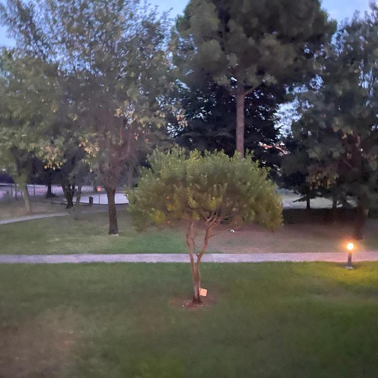 Parc Baie des Anges - One-Bedroom Apartment - 39
