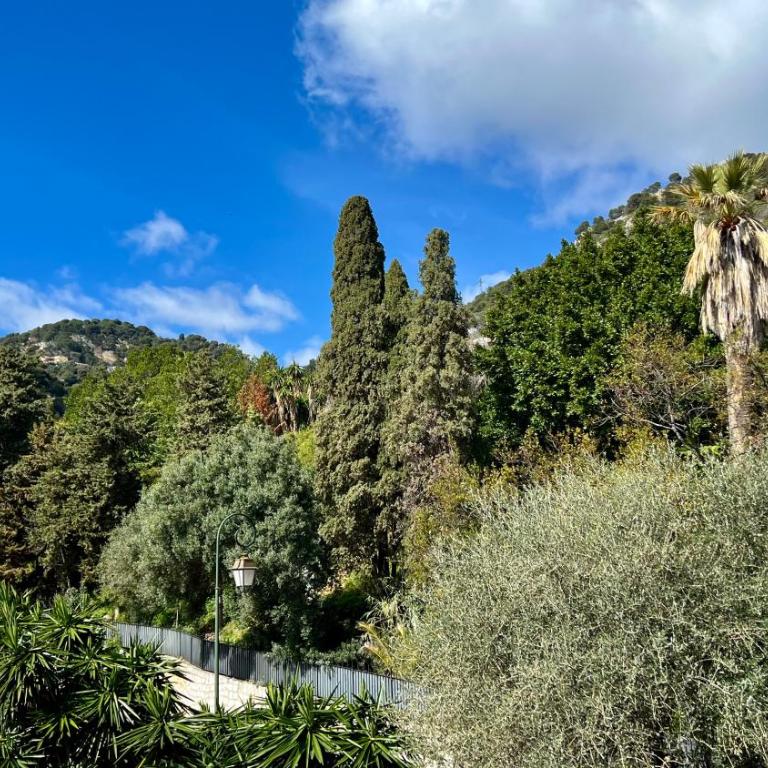 Beau studio au cœur de Beaulieu-sur-mer - Appartement 1 Chambre - 4