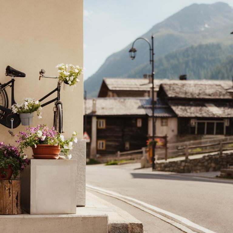 Bonvivar Mountain Guesthouse - Monolocale con Balcone - 45
