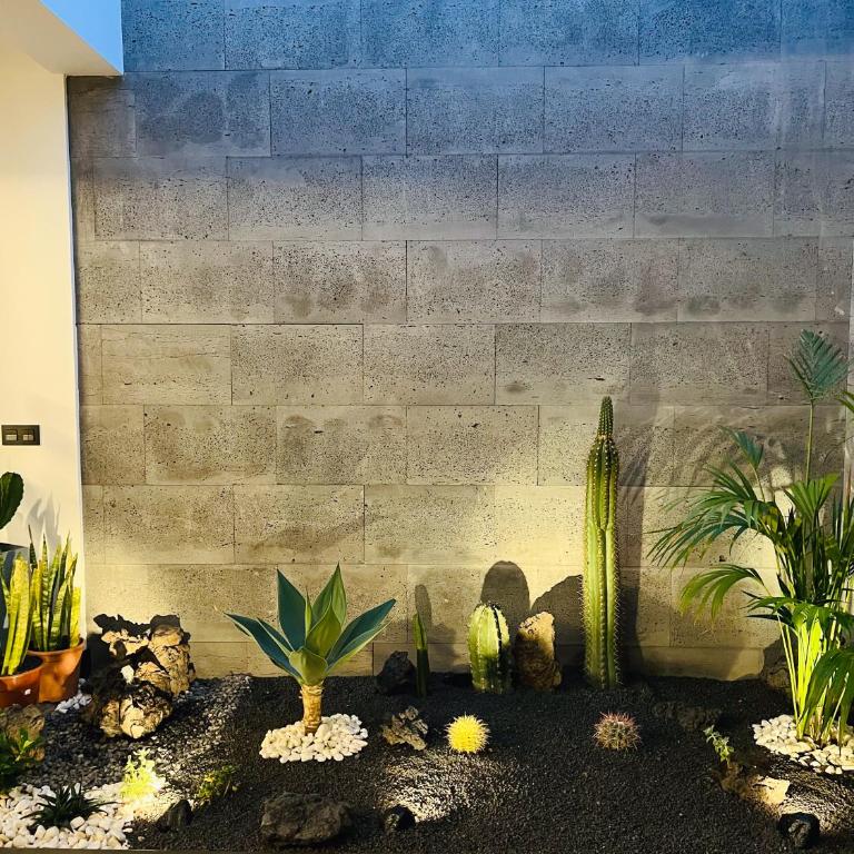 Garden House, Playa Honda - Apartamento de 2 dormitorios - 3