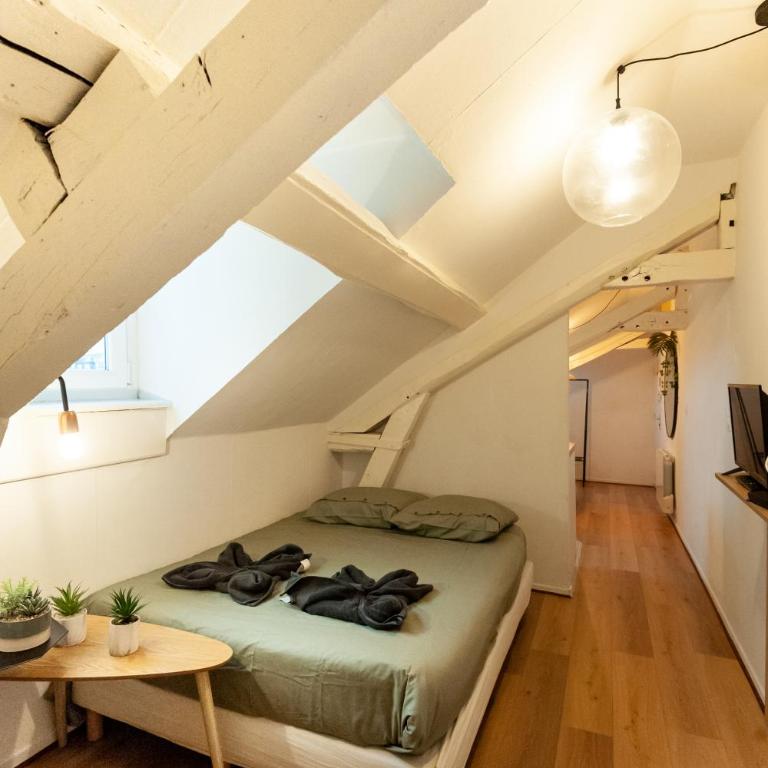 Le Loft - studio en Hypercentre - Cathédrale - Apartment mit 1 Schlafzimmer - 6