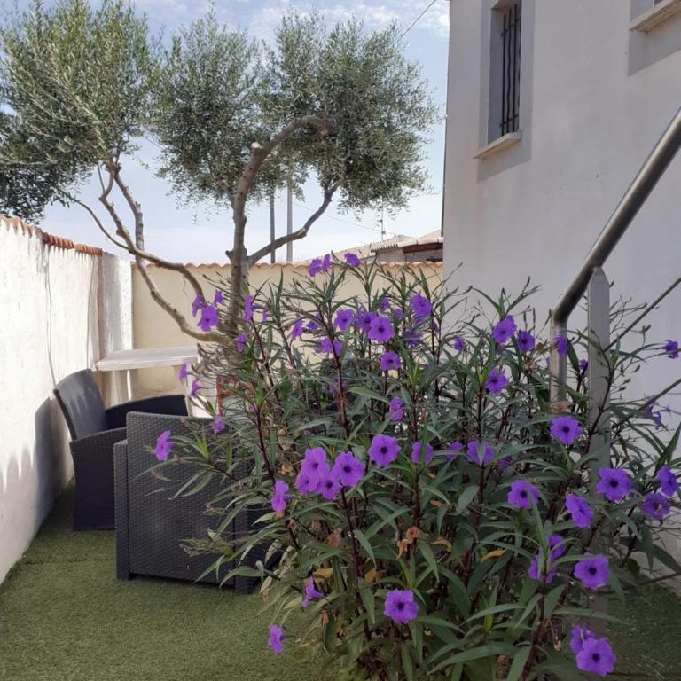La petite maison au bord du canal T2 - 3étoiles - - Villa 1 Chambre - 11