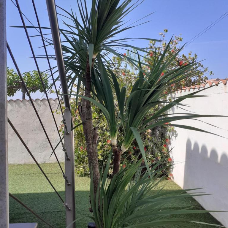 La petite maison au bord du canal T2 - 3étoiles - - Villa 1 Chambre - 13