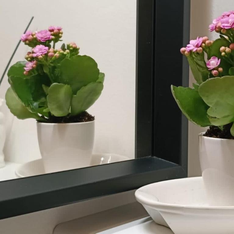 Palermo Eleganza in centro città - Appartamento Deluxe - 25